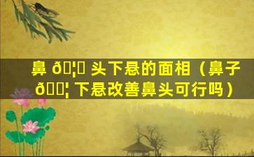 鼻 🦈 头下悬的面相（鼻子 🐦 下悬改善鼻头可行吗）